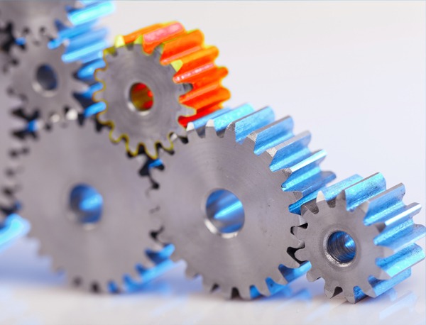 Organisation-2021-600px